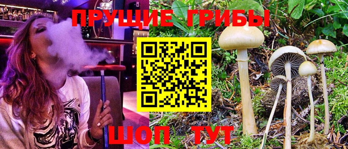 Псилоцибиновые грибы GOLDEN TEACHER Мелеуз